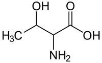 Original Structure