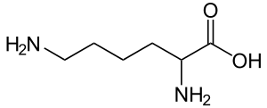 Target Structure