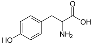 Target Structure